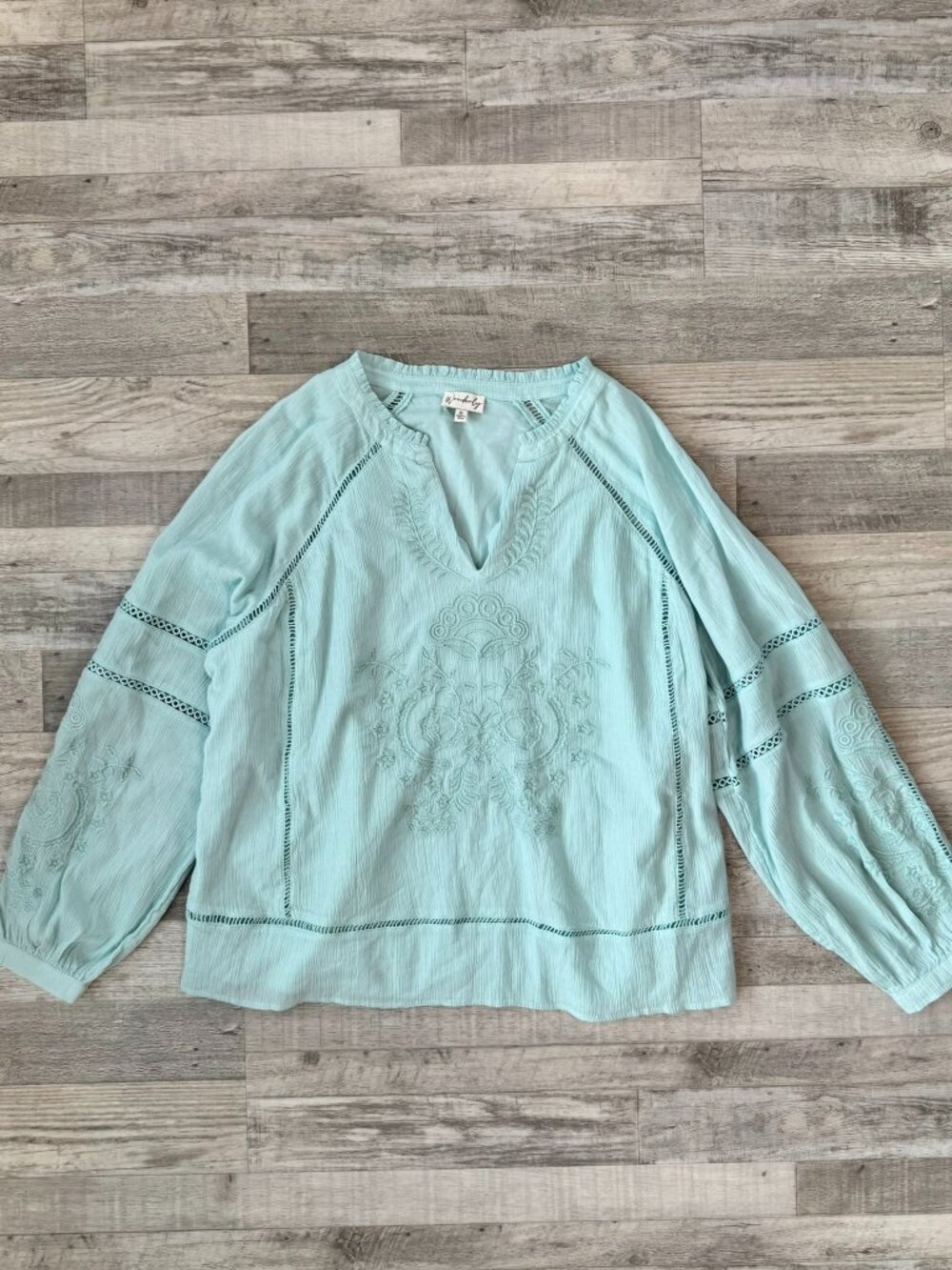 Wonderly Light Blue Embroidered Long Sleeve Blouse Size XL H45